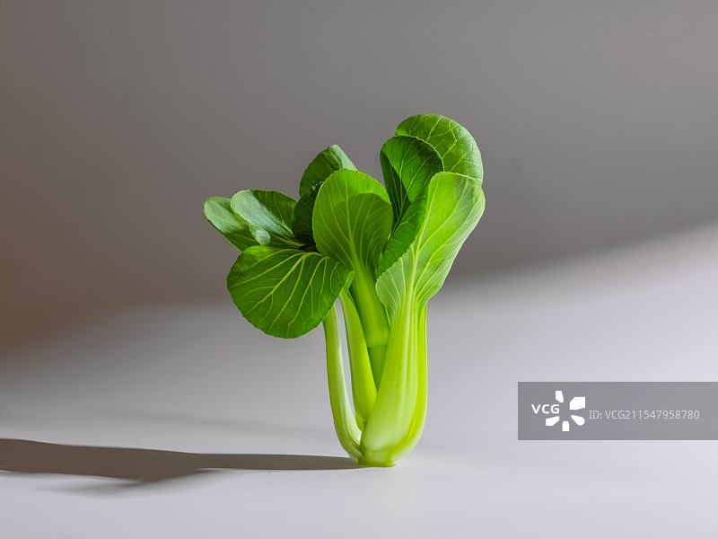 上海青、小白菜、青菜特写镜头图片素材