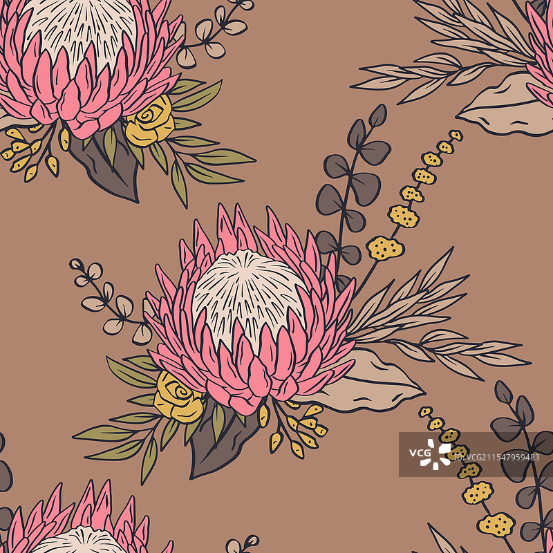 无缝图案，手绘的普罗提亚花朵图片素材