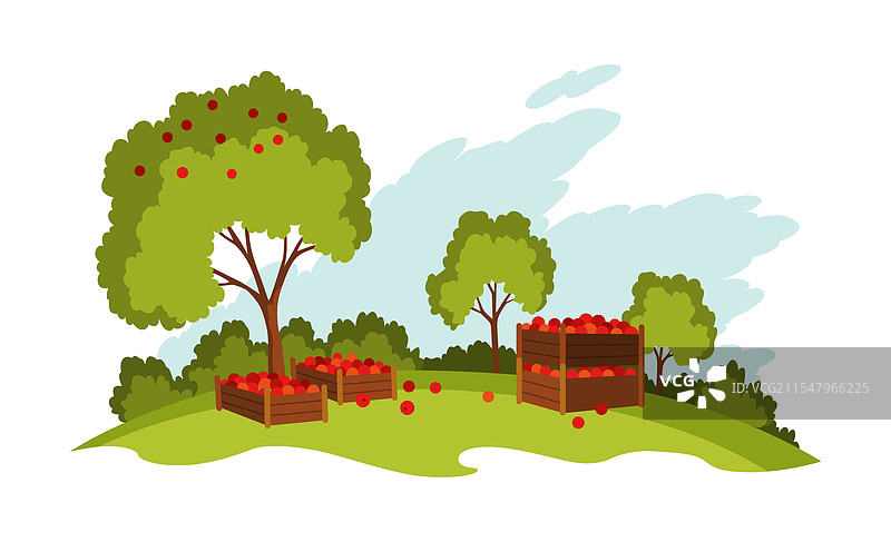 苹果农场风景农业田野乡村图片素材