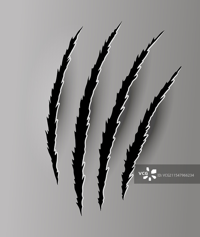 熊或老虎的爪痕和撕裂痕迹图片素材