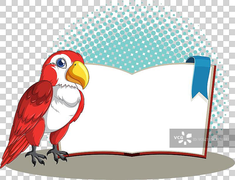 色彩斑斓的鹦鹉站在一本打开的空白书旁边图片素材