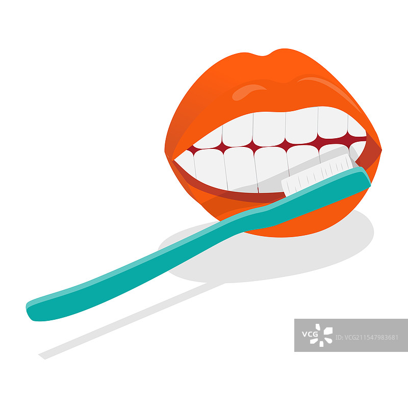 牙齿的三维等距平面图图片素材
