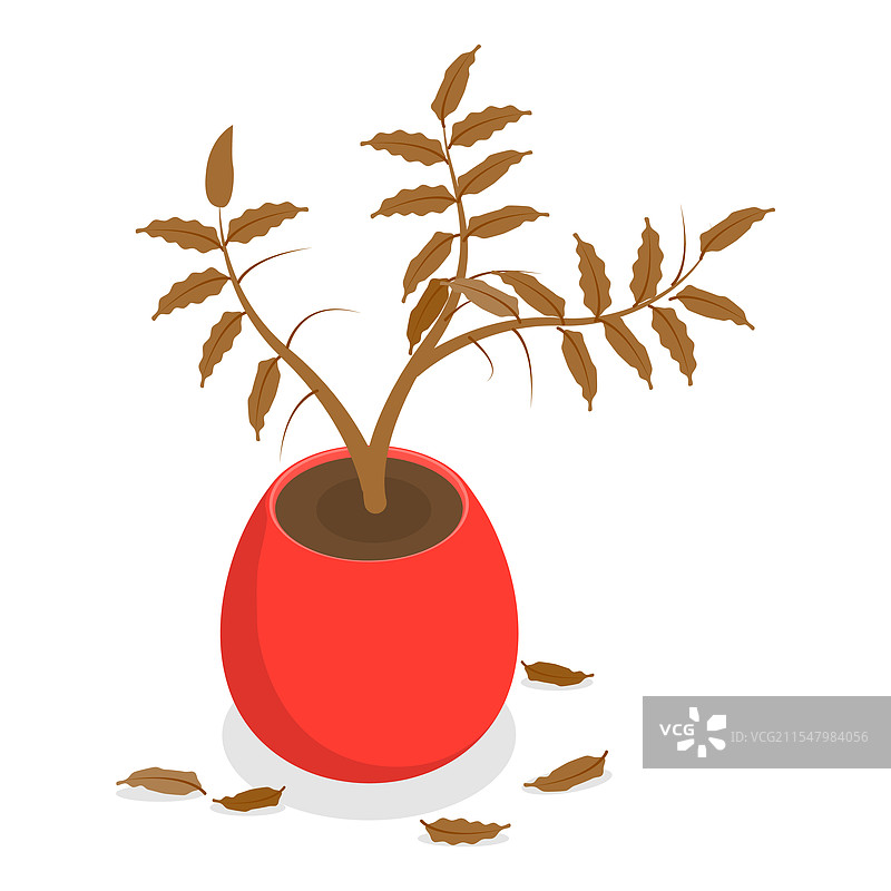 枯萎植物的3D等距平面图集图片素材