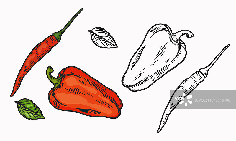 甜辣红椒图片素材
