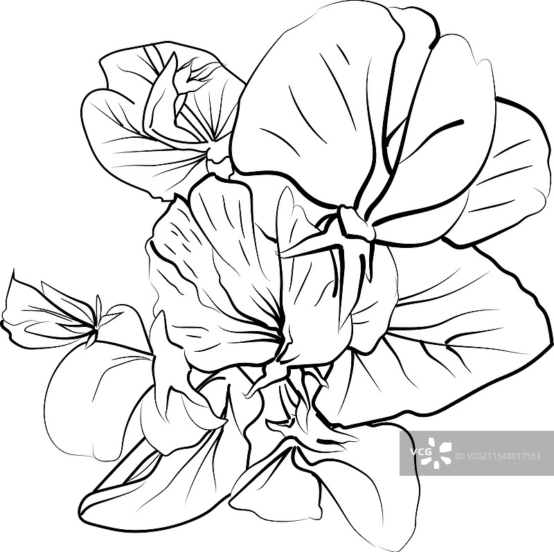 四月出生花朵SVG出生月份花朵图片素材