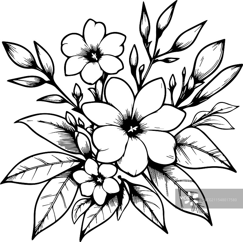 孤立的手绘黄槐花图片素材