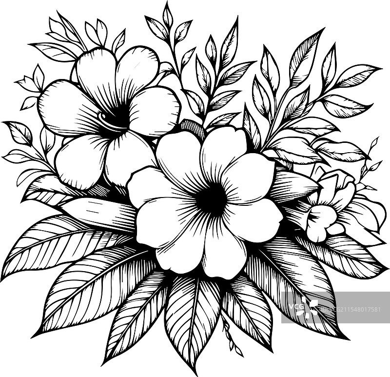 美丽的玫瑰色金钟花纹身图片素材