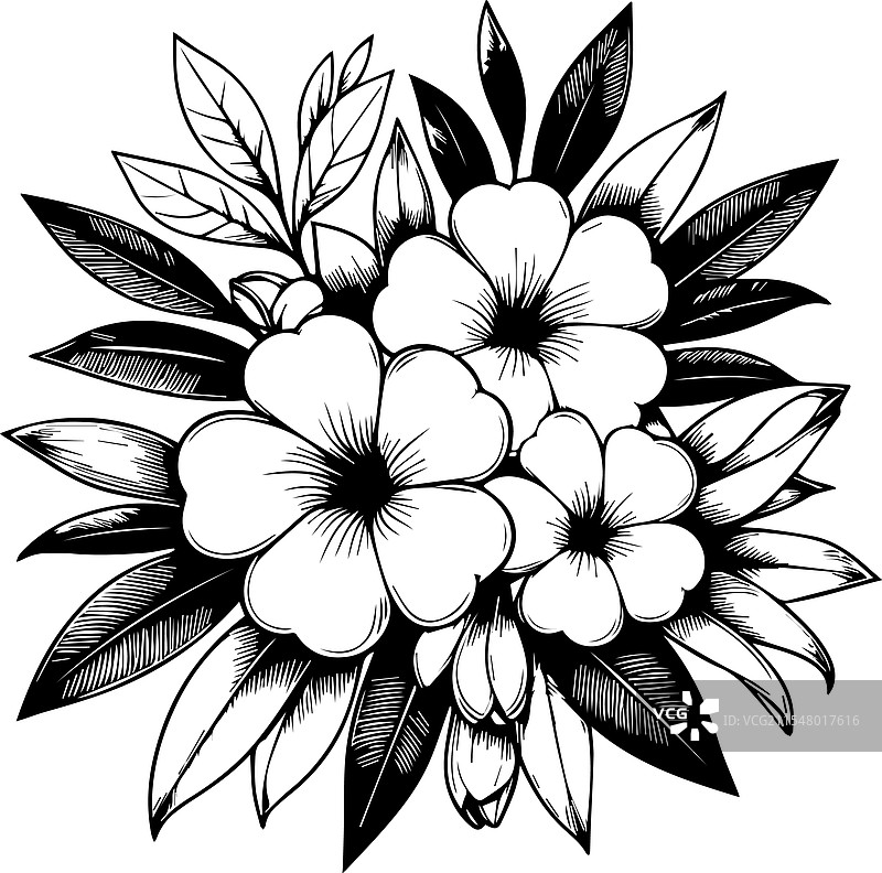 简单的花朵涂色页图片素材