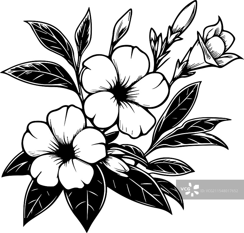 简单的金钟花手绘艺术图片素材