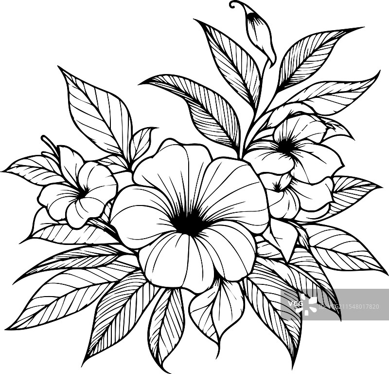 黑白轮廓填色页图片素材