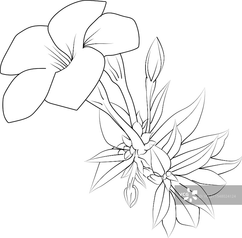 手绘铅笔素描图片素材