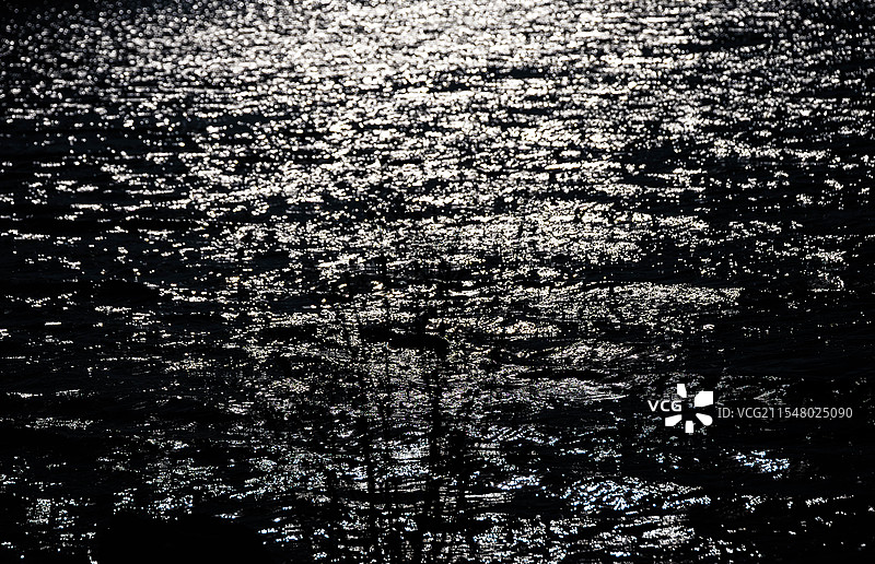 夜色中有杂草剪影的海面图片素材