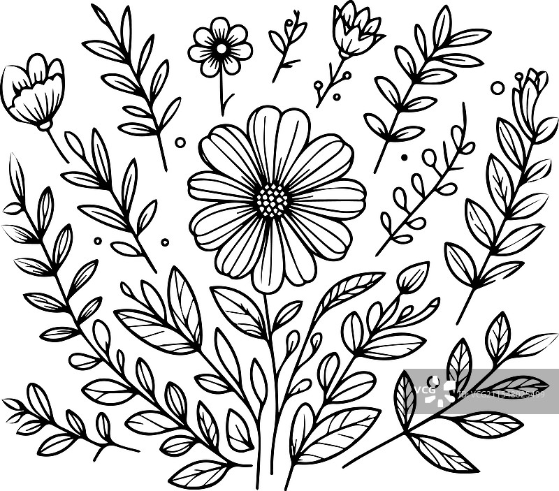 春天的手绘花卉素描艺术图片素材