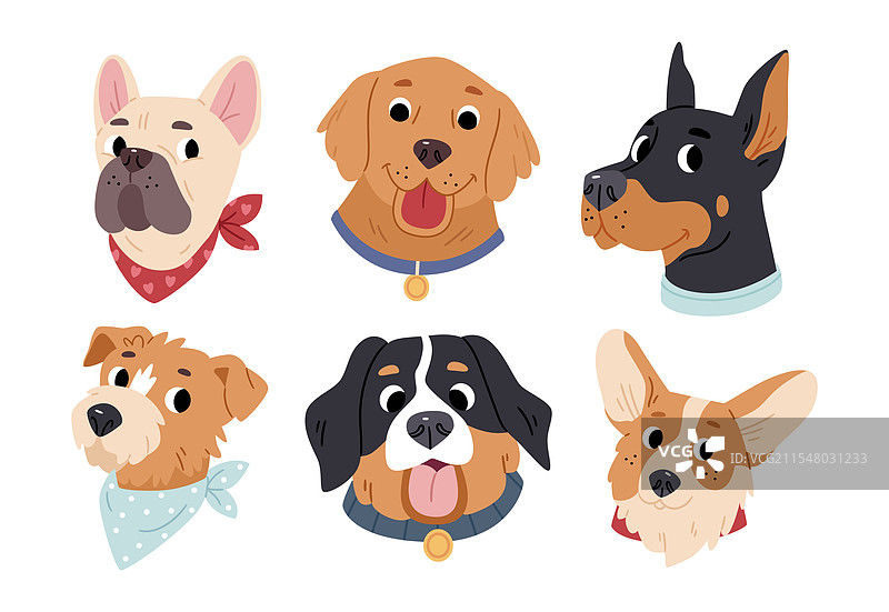 不同犬种的狗，包括斗牛犬和伯恩山犬图片素材