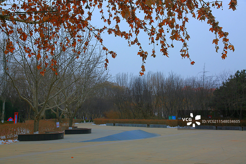 雄安新区雄县清晨正月初三美景抓拍图片素材