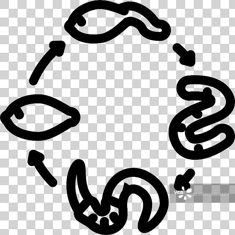 寄生虫蠕虫生命周期线条图标图片素材