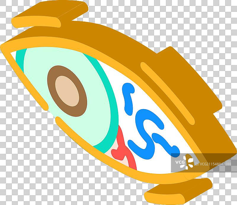 人类身体蠕虫寄生虫等距图标图片素材