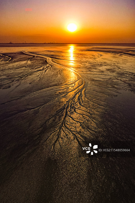 海宁潮汐树与嘉绍大桥在夕阳下合影图片素材