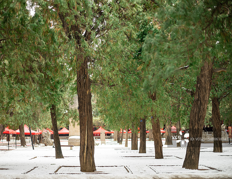 中国山东泰安著名景点泰山旅行旅游目的地风景区，泰山第一行宫岱庙皇家园林离的白雪，户外白昼无人图像摄影图片素材