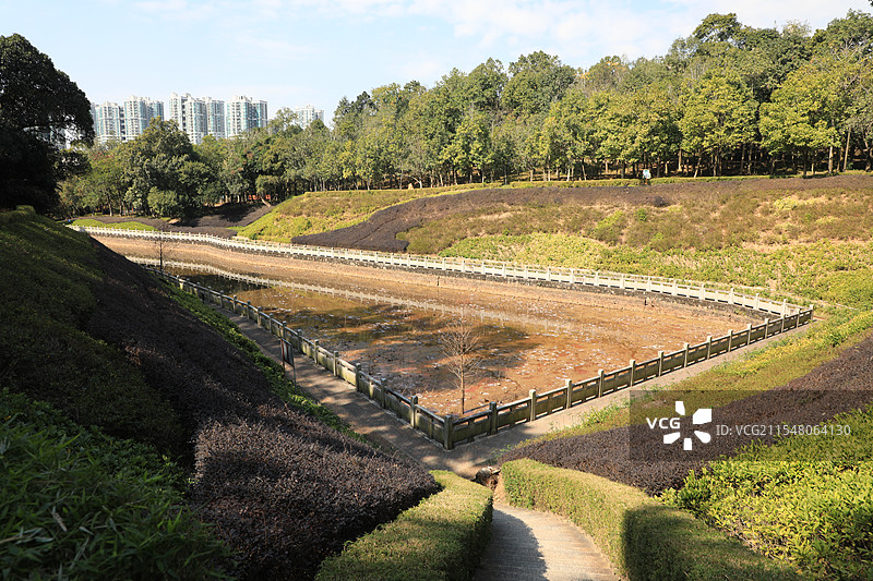 中山树木园图片素材