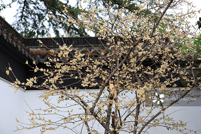 江南水乡上海嘉定州桥老街特写图片素材