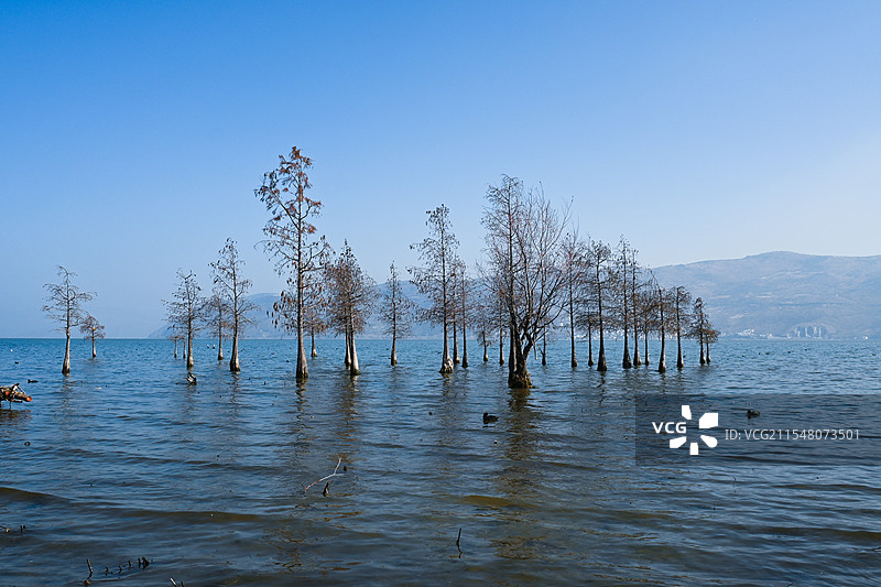 大理洱海图片素材
