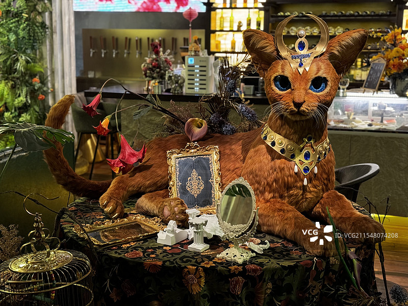 猫咪咖啡厅图片素材