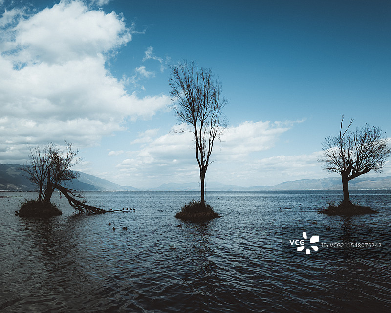 洱海中的三兄弟图片素材