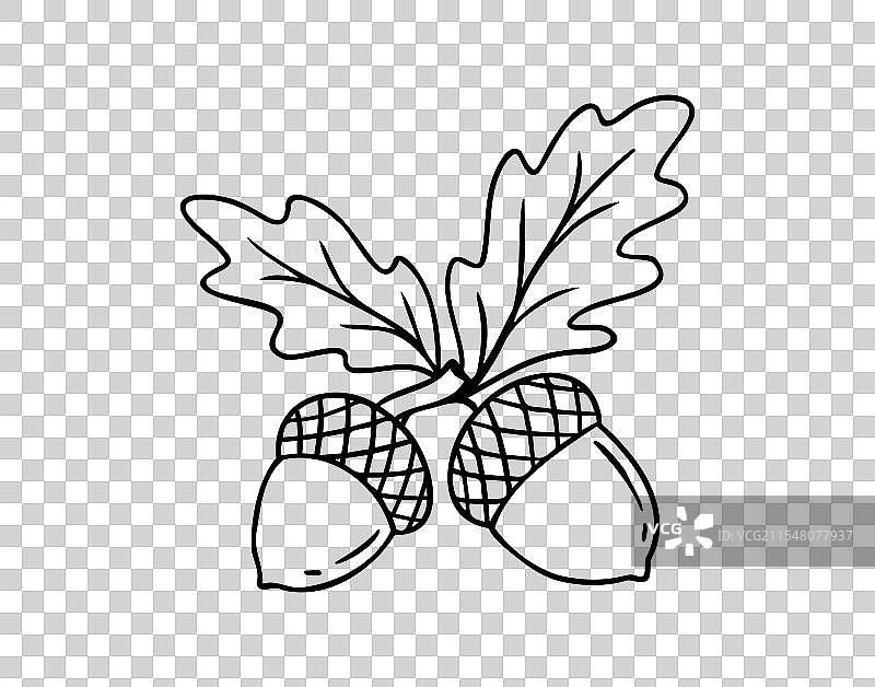 手绘涂鸦橡树叶子和橡果图标图片素材