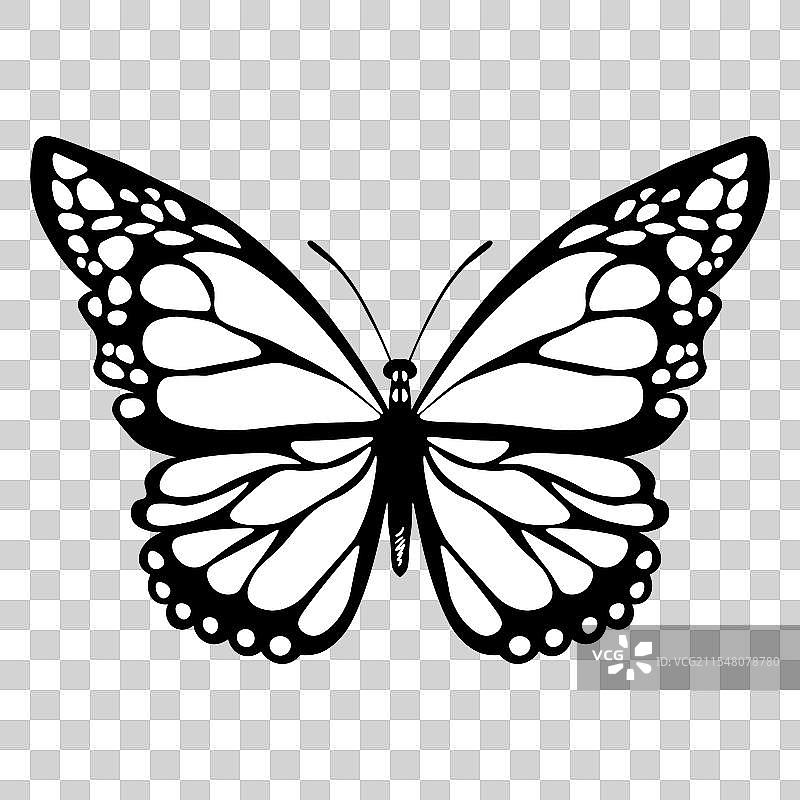 有趣的黑白蝴蝶平面图案图片素材