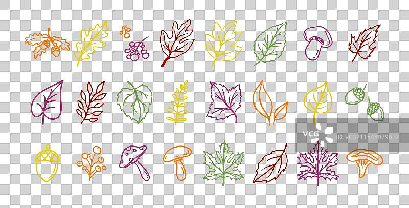 秋天的树叶轮廓涂鸦套装植物秋季图片素材