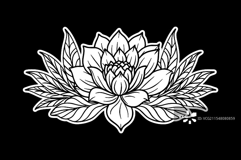 孤立的花朵线条艺术剪影图片素材