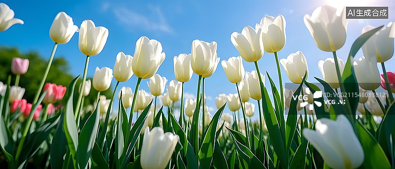 【AI数字艺术】万物复苏春暖花开花海草地图片素材