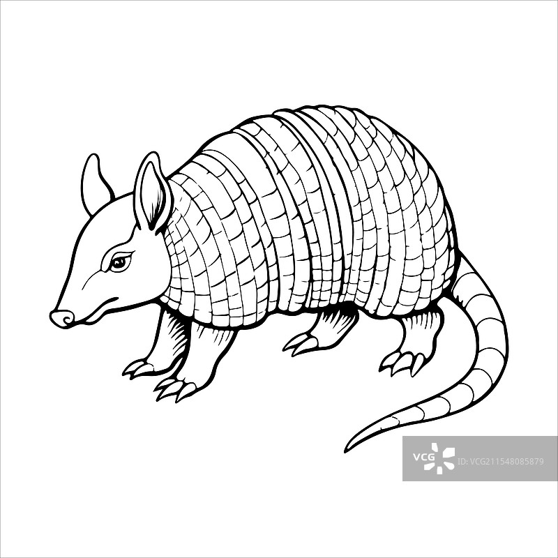 犰狳线条艺术EPS图形图片素材