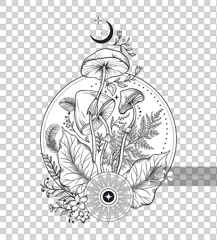 黑白蘑菇的组合图片素材