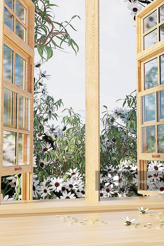 春天小清新唯美幽静室内风景图片素材