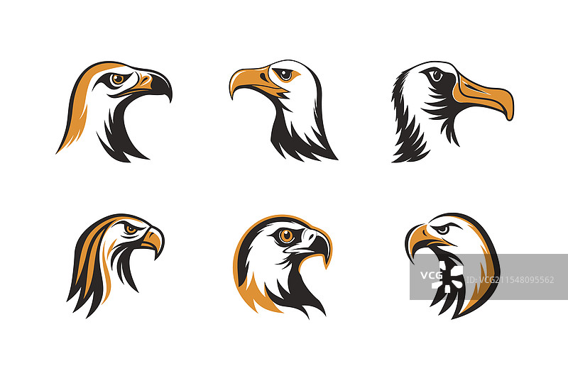 一组信天翁的头部图像图片素材