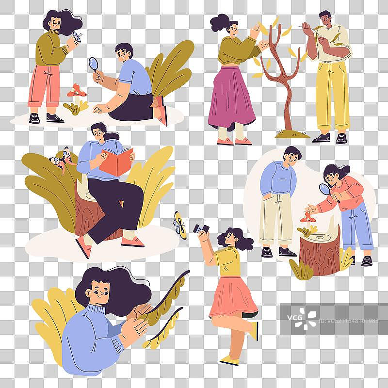 人们在探索植物和昆虫的学习活动图片素材