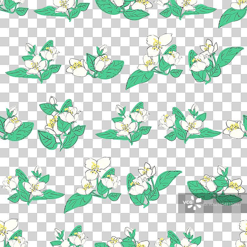 茉莉花的无缝图案图片素材