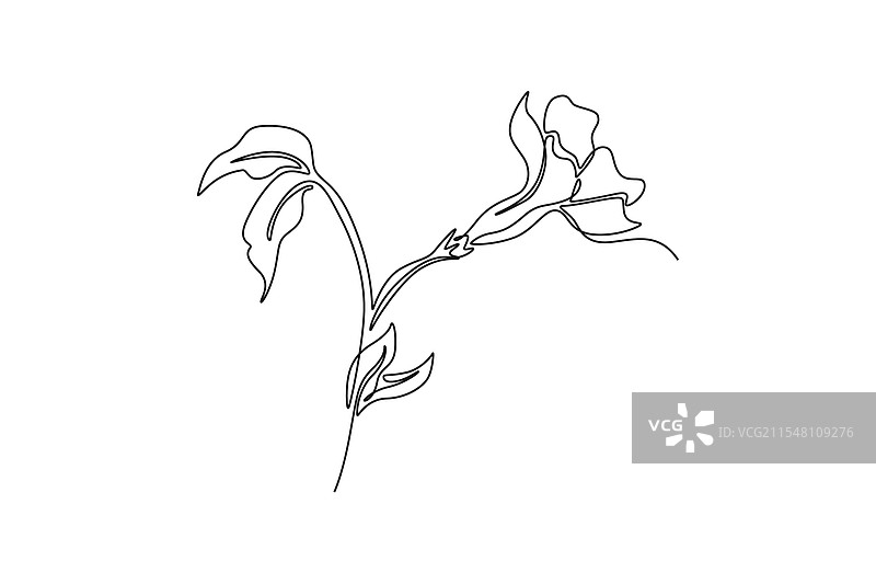 保存 - 一次性图片素材