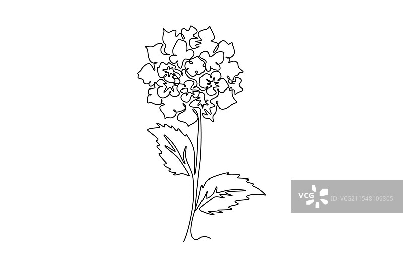 保存 - 一次性图片素材