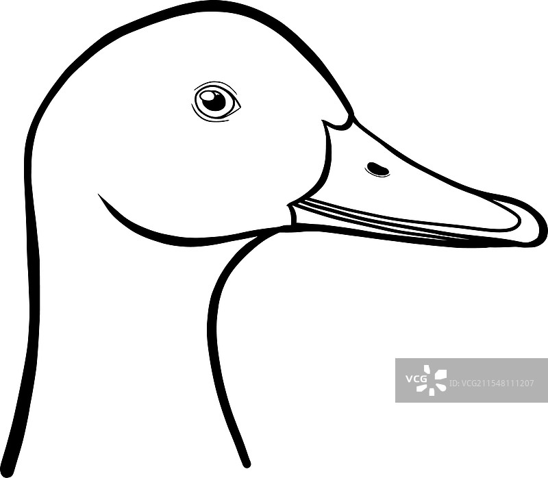 鸭头轮廓图片素材
