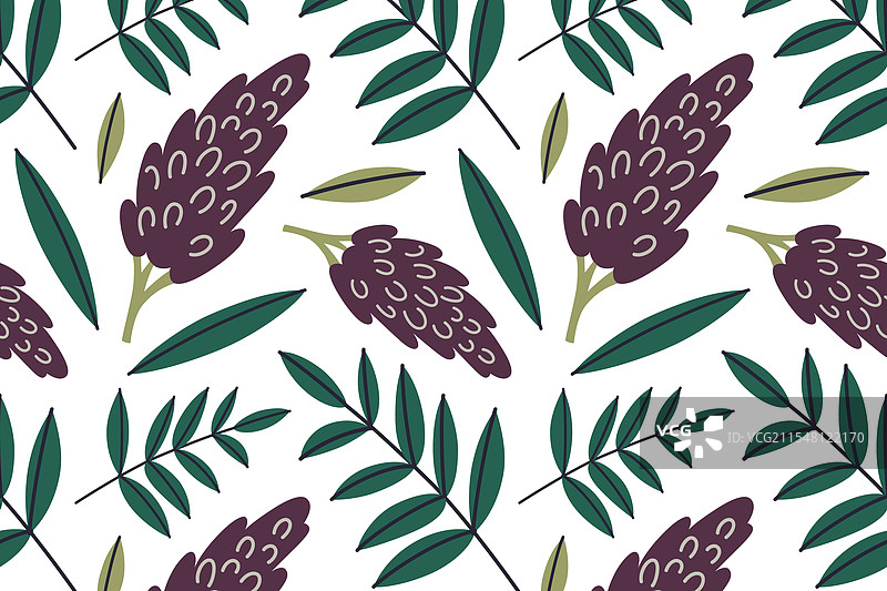 无缝图案的苏木树枝图片素材