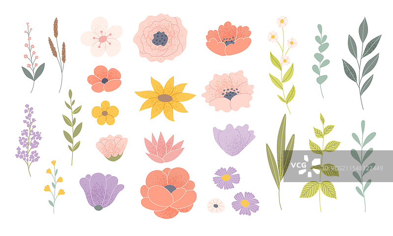 野花和叶子组成的美丽花卉组合图片素材
