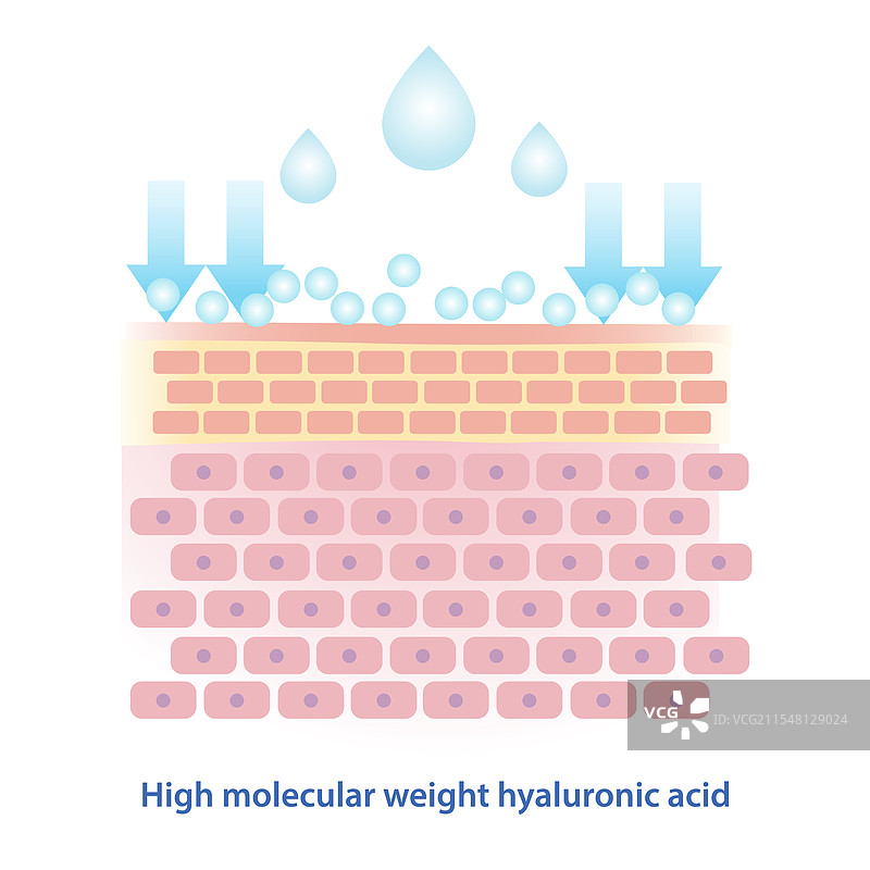 高分子量透明质酸图片素材