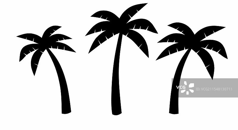 椰子树的剪影图片素材