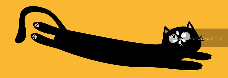 可爱的黑色长身猫咪悠闲地躺着图片素材