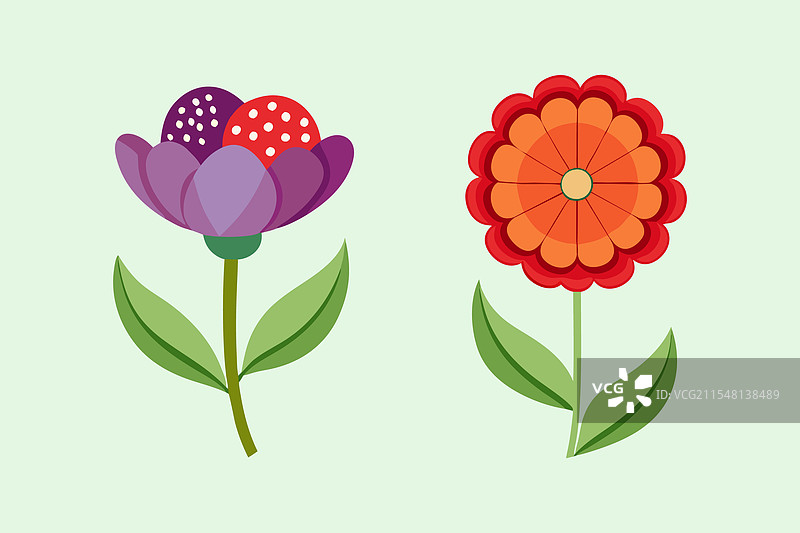 明亮的花卉二重奏图片素材