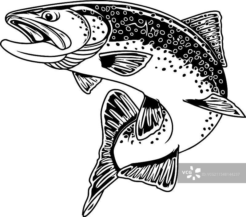 鳟鱼钓鱼标志图像 T 恤图片素材