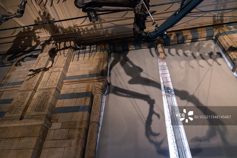 英国自然历史博物馆图片素材